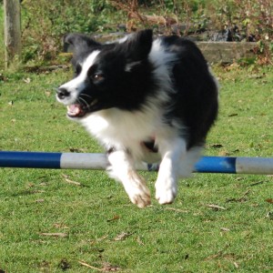 Evie over jump