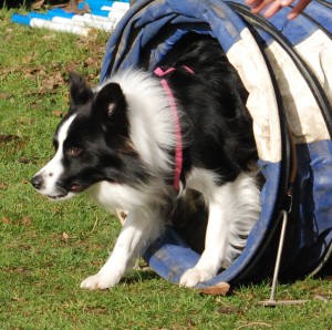 Evie exits tunnel