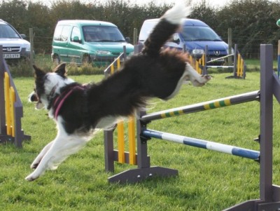 Agility Training