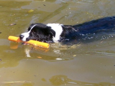 Cooling Off