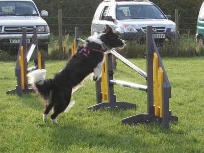 Agility Training