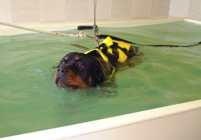 Freyer swming in Hydrotherapy pool