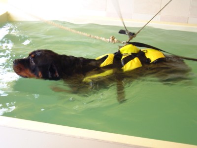 Freyer in Hydrotherapy Pool