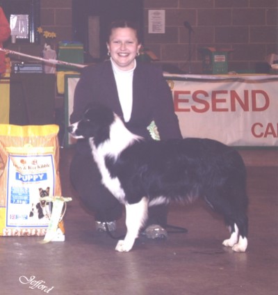 Charley Reserve Best Of Breed