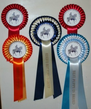 Evie's Rosettes from Coventry Ladies Kennel Premier Open Show