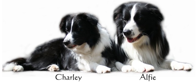 Charley and Alfie