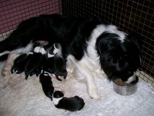 To busy to stand up and eat