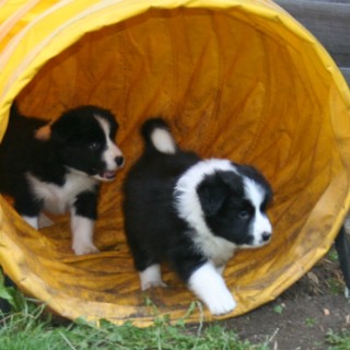 His first trip though the Tunnel