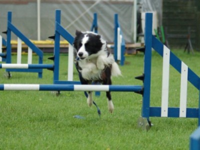 Agility Training