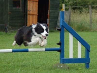 Agility Training